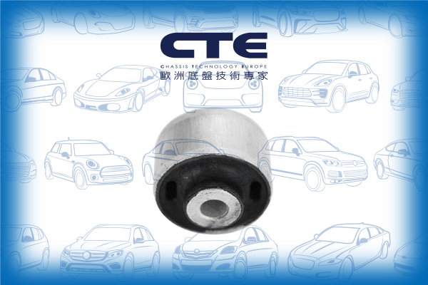 Rubber Bushing/AUDI/VOLKSWAGEN/A4 B5 (8D2)/A4 B5 Avant (8D5)/A4 B6 (8E2)/A4 B6 Avant (8E5)/A6 C5 (4B2)/A6 C5 Avant (4B5)/A8 D2 (4D2, 4D8)/PASSAT B5 (3B2)/PASSAT B5.5 (3B3)