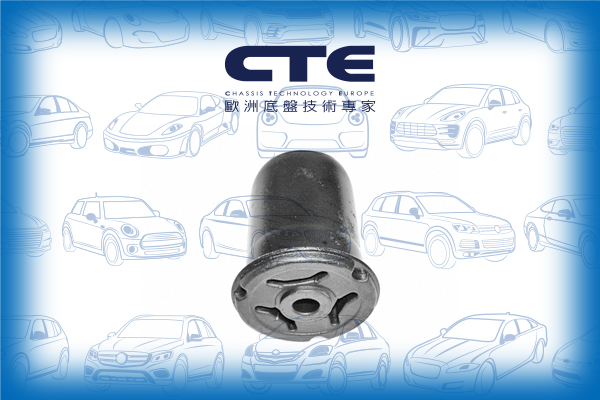 Rubber Bushing/AUDI/80 B3 Saloon (893, 894, 8A2)/90 B3 (893, 894, 8A2)