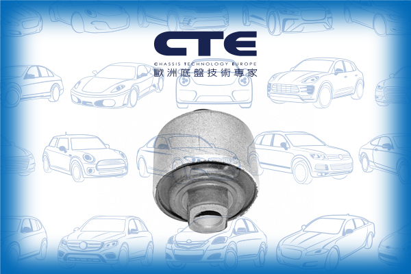 Rubber Bushing/AUDI/VOLKSWAGEN/A4 B5 (8D2)/A4 B5 Avant (8D5)/A4 B6 (8E2)/A4 B6 Avant (8E5)/A4 B8 (8K2)/A4 B8 Avant (8K5)/A6 C5 (4B2)/A6 C5 Avant (4B5)/A8 D2 (4D2, 4D8)/PASSAT B5 (3B2)/PASSAT B5.5 (3B3)