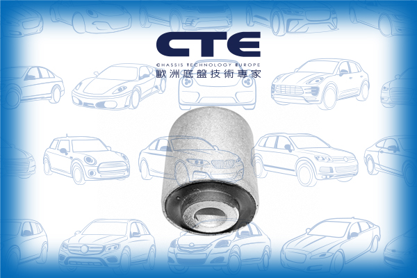 Rubber Bushing/AUDI/VOLKSWAGEN/A4 B5 (8D2)/A4 B5 Avant (8D5)/A6 C5 (4B2)/A6 C5 Avant (4B5)/A8 D2 (4D2, 4D8)/PASSAT B5 (3B2)/PASSAT B5.5 (3B3)