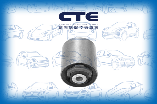 Rubber Bushing/AUDI/VOLKSWAGEN/A4 B5 (8D2)/A4 B5 Avant (8D5)/A4 B6 (8E2)/A4 B6 Avant (8E5)/A6 C5 (4B2)/A6 C5 Avant (4B5)/A8 D2 (4D2, 4D8)/ALLROAD C5 (4BH)/PASSAT B5 (3B2)/PASSAT B5.5 (3B3)