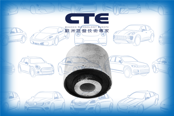 Rubber Bushing/AUDI/A4 B6 (8E2)/A4 B6 Avant (8E5)