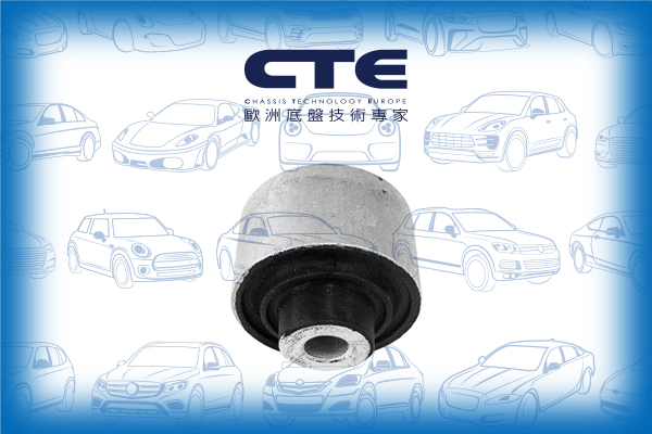 Rubber Bushing/AUDI/A6 C6 (4F2)