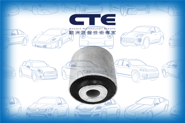 Rubber Bushing/AUDI/A6 C6 (4F2)