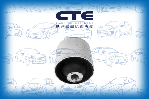 Rubber Bushing/AUDI/AUDI (FAW)/SEAT/A4 B6 Convertible (8H7)/A4 B7 (8EC)/A4 B7 (8YC)/A4 B7 Avant (8ED)/A4 B7 Convertible (8HE)/A6 Allroad C6 (4FH)/A6 C6 (4F2)/A6 C6 Avant (4F5)/EXEO (3R2)/EXEO ST (3R5)