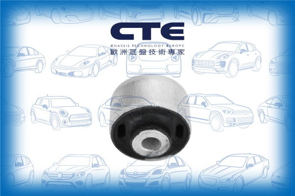 Rubber Bushing/AUDI/A4 B6 (8E2)/A4 B6 Avant (8E5)/A4 B8 (8K2)/A4 B8 Avant (8K5)/A5 (8T3)/A5 Sportback (8TA)/A6 C5 (4B2)/A6 C5 Avant (4B5)/A6 C6 (4F2)