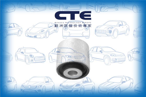 Rubber Bushing/AUDI/BENTLEY/PORSCHE/VOLKSWAGEN/A4 Allroad B8 (8KH)/A4 B8 (8K2)/A4 B8 Avant (8K5)/A4 B9 (8W2, 8WC)/A4 B9 Avant (8W5, 8WD)/A5 (8T3)/A5 Convertible (8F7)/A5 Sportback (8TA)/A6 Allroad C6 (4FH)/A6 Allroad C7 (4GH, 4GJ)/A6 C6 (4F2)/A6 C6 Avant 