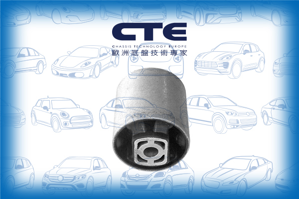 Rubber Bushing/AUDI/A4 B8 (8K2)/A4 B8 Avant (8K5)/A5 (8T3)/A5 Convertible (8F7)/A5 Sportback (8TA)/Q5 (8RB)
