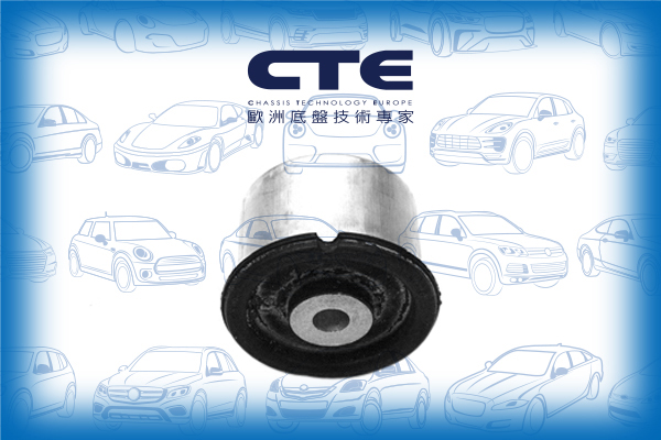 Rubber Bushing/AUDI/PORSCHE/CAYENNE (92A)/CAYENNE (9PA)/Q7 (4LB)