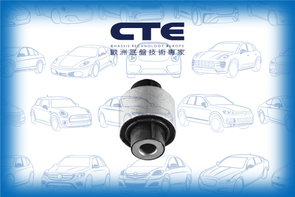 Rubber Bushing/AUDI/SEAT/SKODA/VOLKSWAGEN/A3 (8P1)/A3 Sportback (8PA)/ALTEA (5P1)/CADDY III Box Body/MPV (2KA, 2KH, 2CA, 2CH)/CADDY III MPV (2KB, 2KJ, 2CB, 2CJ)/GOLF V (1K1)/GOLF VI (5K1)/LEON (1P1)/OCTAVIA II (1Z3)/PASSAT B6 (3C2) | PASSAT / Magotan/TOUR