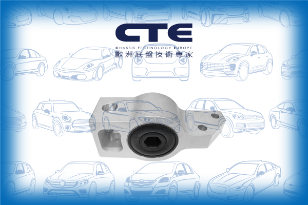 Rubber Bushing/AUDI/TT (8J3)