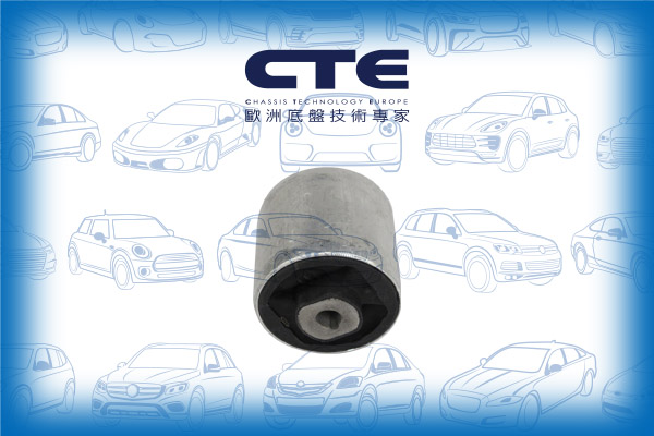 Rubber Bushing/AUDI/A4 B9 (8W2, 8WC)/A4 B9 Avant (8W5, 8WD)