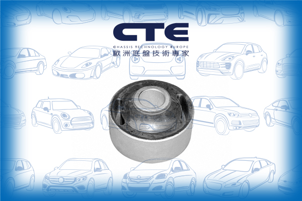 Rubber Bushing/VOLKSWAGEN/POLO (6N2)/POLO III (6N1)