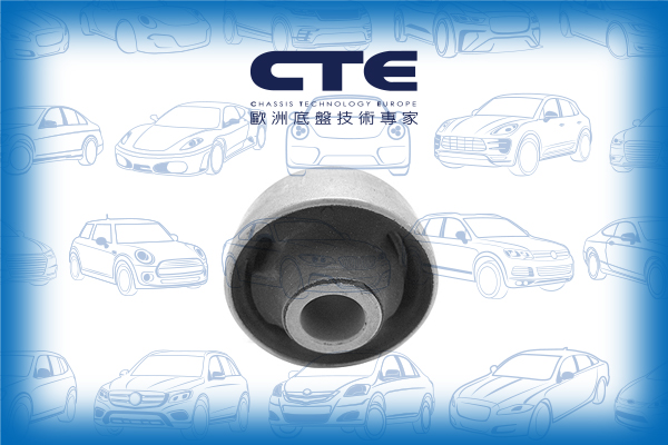 Rubber Bushing/VOLKSWAGEN/GOLF III (1H1)/VENTO (1H2)