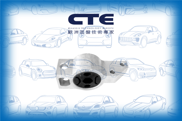 Rubber Bushing/VOLKSWAGEN/PASSAT B6 (3C2) | PASSAT / Magotan