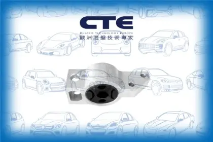Rubber Bushing/VOLKSWAGEN/PASSAT B6 (3C2) | PASSAT / Magotan