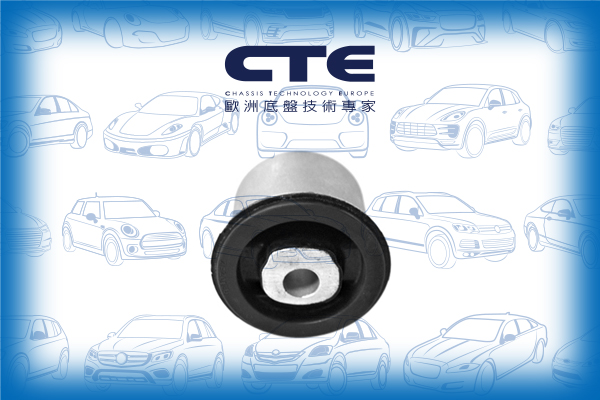Rubber Bushing/AUDI/VOLKSWAGEN/Q7 (4LB)/TOUAREG (7LA, 7L6, 7L7)