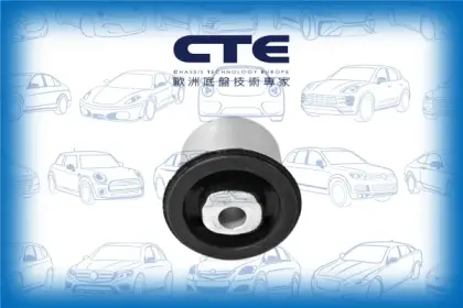Rubber Bushing/AUDI/VOLKSWAGEN/Q7 (4LB)/TOUAREG (7LA, 7L6, 7L7)