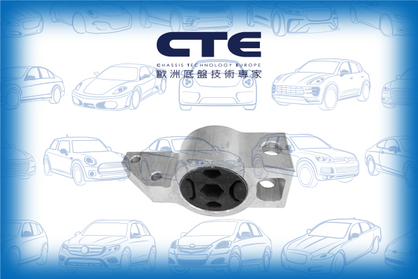 Rubber Bushing/AUDI/SEAT/SKODA/VOLKSWAGEN/A3 (8P1)/A3 Sportback (8PA)/ALTEA (5P1)/CADDY III Box Body/MPV (2KA, 2KH, 2CA, 2CH)/CADDY III MPV (2KB, 2KJ, 2CB, 2CJ)/GOLF V (1K1)/GOLF VI (5K1)/LEON (1P1)/OCTAVIA II (1Z3)/TOURAN (1T1, 1T2)