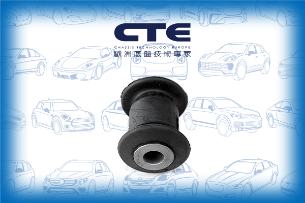 Rubber Bushing/SEAT/SKODA/VOLKSWAGEN/FABIA I (6Y2)/FABIA I Combi (6Y5)/FABIA I Praktik (6Y5)/FABIA I Saloon (6Y3)/FABIA II (542)/IBIZA III (6L1)/POLO (9N_)