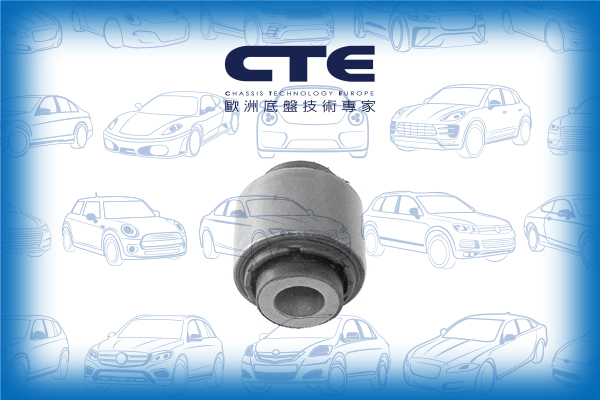 Rubber Bushing/AUDI/SEAT/SKODA/VOLKSWAGEN/A3 (8P1)/A3 Sportback (8PA)/ALTEA (5P1)/ALTEA XL (5P5, 5P8)/EOS (1F7, 1F8)/GOLF PLUS V (5M1, 521)/GOLF V (1K1)/JETTA III (1K2)/LEON (1P1)/OCTAVIA II (1Z3)/OCTAVIA II Combi (1Z5)/PASSAT B2 Saloon (32B)/PASSAT B6 (3