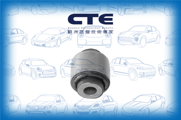 Rubber Bushing/AUDI/SEAT/SKODA/VOLKSWAGEN/A3 (8P1)/A3 Sportback (8PA)/ALTEA (5P1)/ALTEA XL (5P5, 5P8)/EOS (1F7, 1F8)/GOLF PLUS V (5M1, 521)/GOLF V (1K1)/JETTA III (1K2)/LEON (1P1)/OCTAVIA II (1Z3)/OCTAVIA II Combi (1Z5)/PASSAT B2 Saloon (32B)/PASSAT B6 (3
