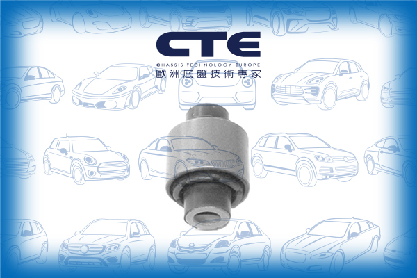 Rubber Bushing/AUDI/SKODA/VOLKSWAGEN/A3 (8P1)/A3 Sportback (8PA)/CADDY III Box Body/MPV (2KA, 2KH, 2CA, 2CH)/CADDY III MPV (2KB, 2KJ, 2CB, 2CJ)/GOLF V (1K1)/GOLF VI (5K1)/OCTAVIA II (1Z3)/TOURAN (1T1, 1T2)