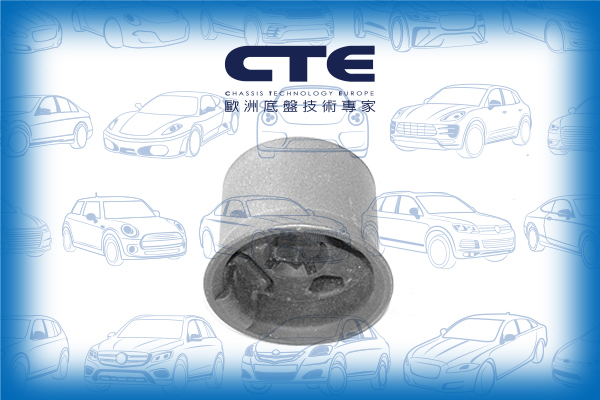 Rubber Bushing/AUDI/SEAT/SKODA/VOLKSWAGEN/A3 (8P1)/A3 Sportback (8PA)/ALTEA (5P1)/FABIA II Combi (545)/GOLF V (1K1)/GOLF VI (5K1)/LEON (1P1)/OCTAVIA II (1Z3)/TOURAN (1T1, 1T2)