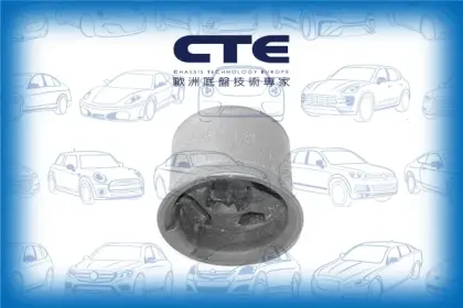 Rubber Bushing/AUDI/SEAT/SKODA/VOLKSWAGEN/A3 (8P1)/A3 Sportback (8PA)/ALTEA (5P1)/FABIA II Combi (545)/GOLF V (1K1)/GOLF VI (5K1)/LEON (1P1)/OCTAVIA II (1Z3)/TOURAN (1T1, 1T2)