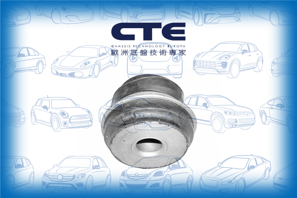Rubber Bushing/MERCEDES-BENZ/124 Coupe (C124)/124 Saloon (W124)/124 T-Model (S124)/190 (W201)/E-CLASS (W124)/SL (R129)