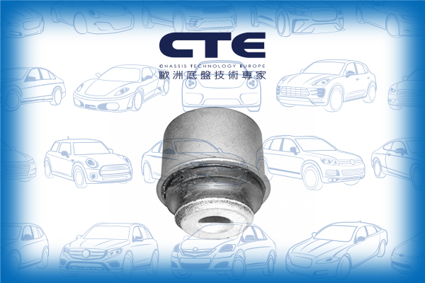Rubber Bushing/MERCEDES-BENZ/190 (W201)
