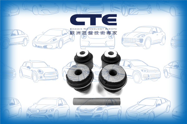 Rubber Bushing/MERCEDES-BENZ/124 Coupe (C124)/124 Saloon (W124)/124 T-Model (S124)/190 (W201)/SL (R129)