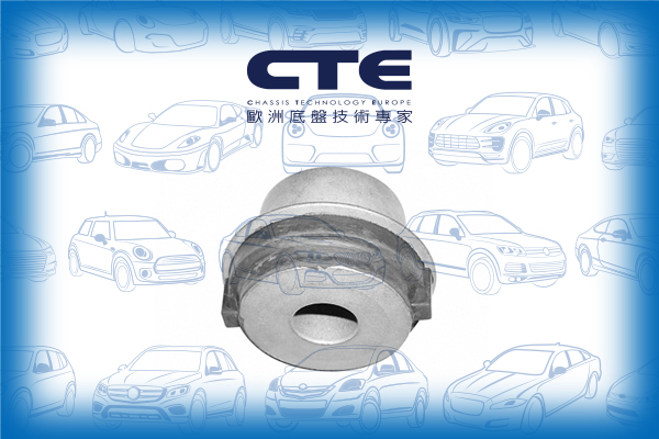 Rubber Bushing/MERCEDES-BENZ/E-CLASS (W210)/E-CLASS T-Model (S210)