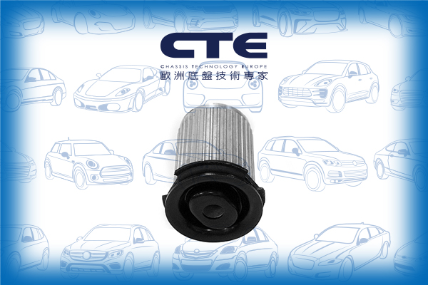 Rubber Bushing/MERCEDES-BENZ/E-CLASS (W210)/E-CLASS T-Model (S210)