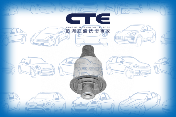 Rubber Bushing/MERCEDES-BENZ/C-CLASS (W202)/C-CLASS T-Model (S202)/CLK (C208)/CLK Convertible (A208)/E-CLASS (W210)/E-CLASS T-Model (S210)/SLK (R170)