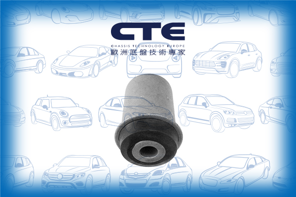 Rubber Bushing/MERCEDES-BENZ/A-CLASS (W168)