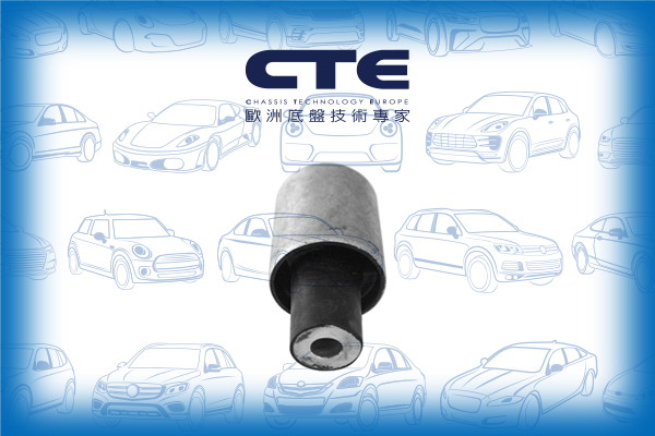 Rubber Bushing/MERCEDES-BENZ/A-CLASS (W169)/B-CLASS Sports Tourer (W245)