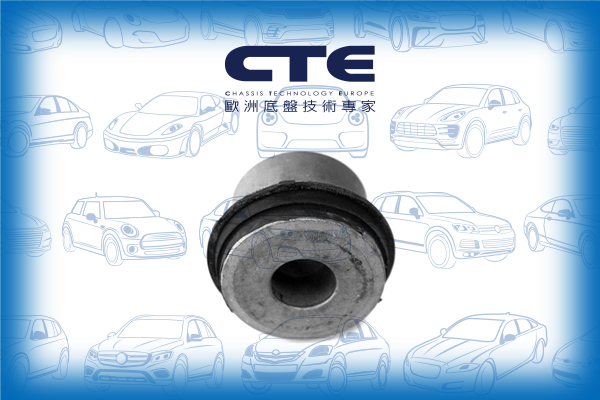 Rubber Bushing/MERCEDES-BENZ/A-CLASS (W169)/B-CLASS Sports Tourer (W245)