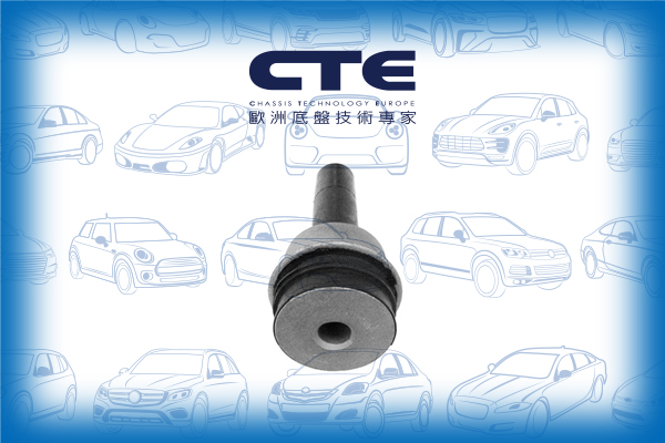 Rubber Bushing/MERCEDES-BENZ/S-CLASS (W140)