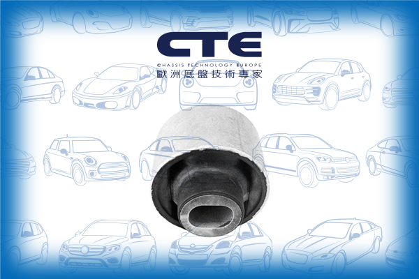 Rubber Bushing/MERCEDES-BENZ/CLS (C219)/E-CLASS (W211)/E-CLASS T-Model (S211)/SL (R129)/SL (R230)