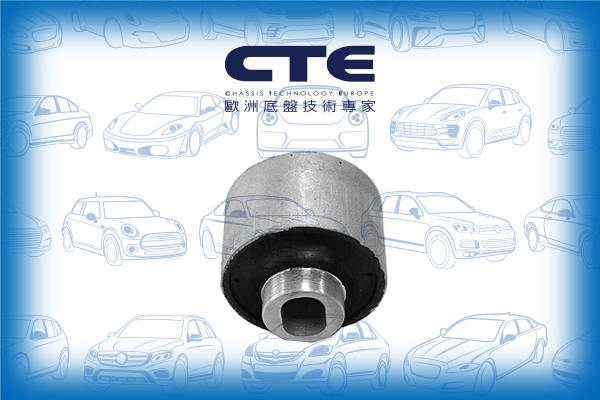 Rubber Bushing/MERCEDES-BENZ/S-CLASS (W220)