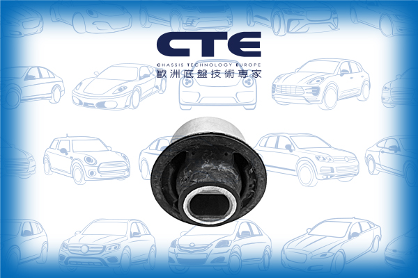 Rubber Bushing/MERCEDES-BENZ/S-CLASS (W220)/S-CLASS Coupe (C215)