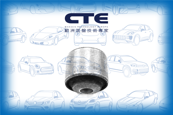 Rubber Bushing/MERCEDES-BENZ/CLS (C219)/E-CLASS (W211)/E-CLASS T-Model (S211)/SL (R230)