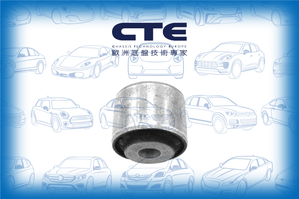 Rubber Bushing/MERCEDES-BENZ/CLS (C219)/E-CLASS (W211)/E-CLASS T-Model (S211)/SL (R230)