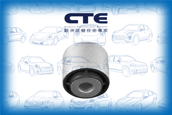 Rubber Bushing/MERCEDES-BENZ/E-CLASS (W211)