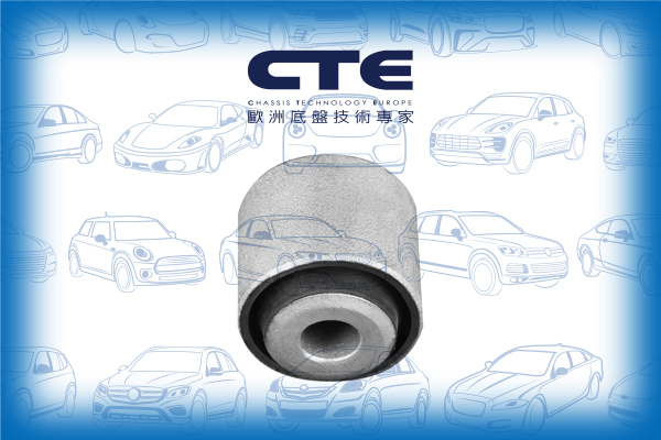 Rubber Bushing/MERCEDES-BENZ/E-CLASS (W211)