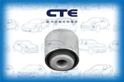 Rubber Bushing/MERCEDES-BENZ/E-CLASS (W211)