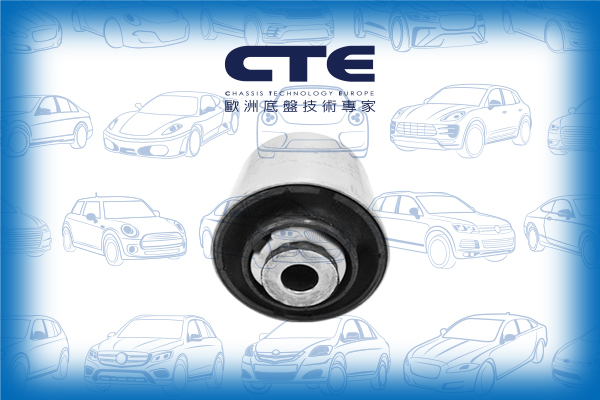 Rubber Bushing/MERCEDES-BENZ/E-CLASS (W212)
