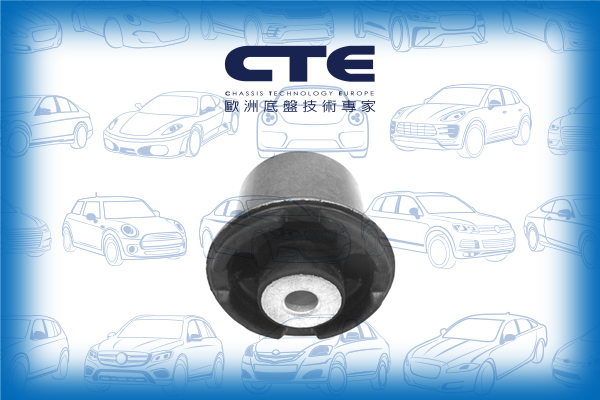 Rubber Bushing/MERCEDES-BENZ/E-CLASS (W211)