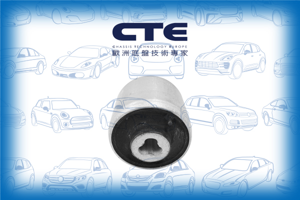 Rubber Bushing/MERCEDES-BENZ/E-CLASS (W212)/E-CLASS T-Model (S212)